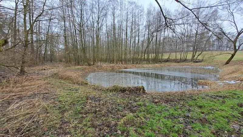 Prodej rybníku, Ostrava, 13195 m2