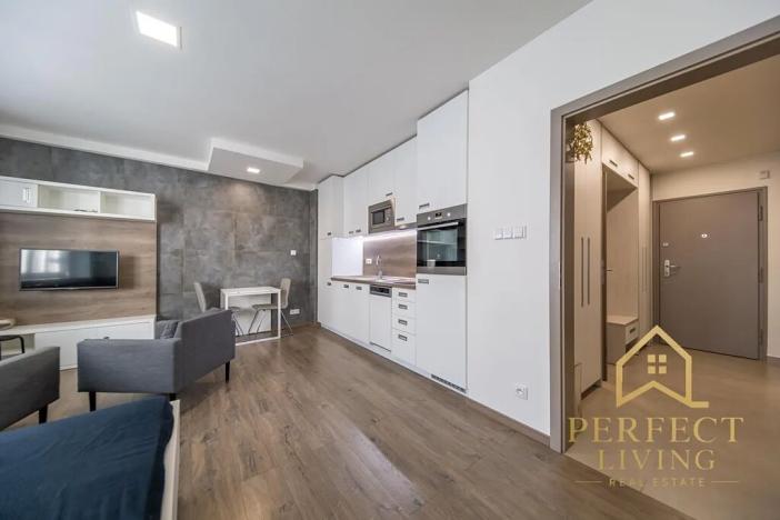 Pronájem bytu 1+kk, Praha - Vinohrady, Lucemburská, 31 m2