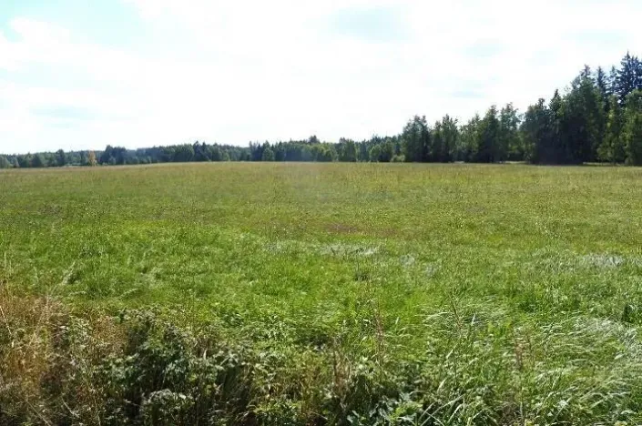 Dražba pole, Rožmitál pod Třemšínem, 10000 m2