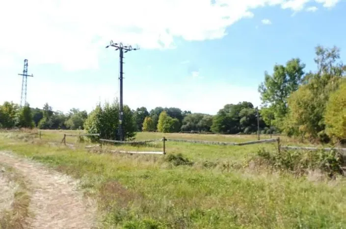 Dražba pole, Rožmitál pod Třemšínem, 10000 m2