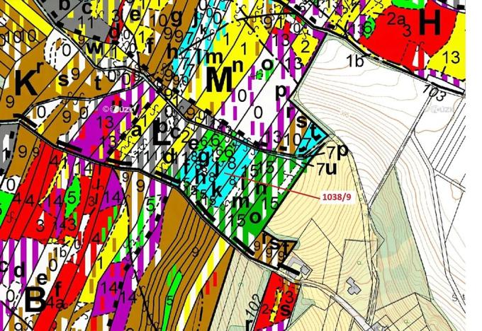 Dražba lesa, Veverské Knínice, 2213 m2