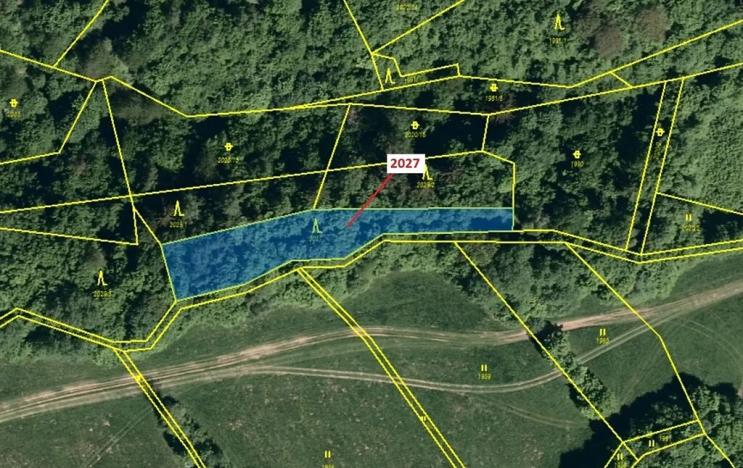 Dražba lesa, Hovězí, 1252 m2