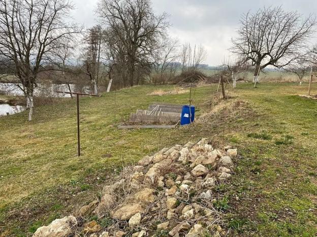 Dražba zemědělské usedlosti, Čechtice, 1039 m2