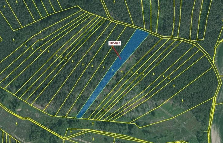 Dražba lesa, Milavče, 5152 m2