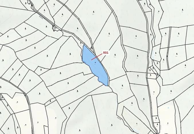 Dražba louky, Jílové u Držkova, 4019 m2