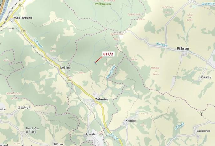 Dražba lesa, Zubrnice, 815 m2