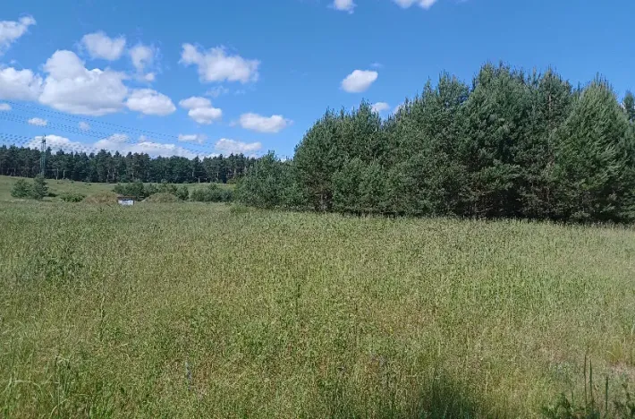 Dražba pozemku, Česká Lípa, 3295 m2
