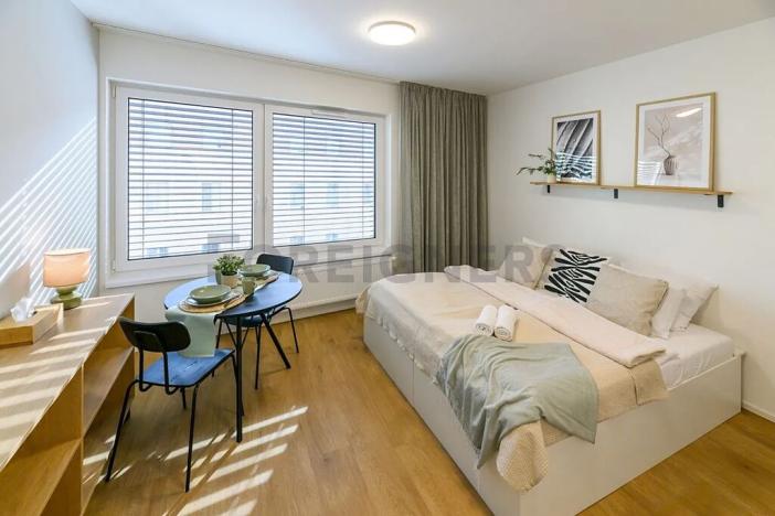 Pronájem bytu 1+kk, Brno, Cejl, 30 m2