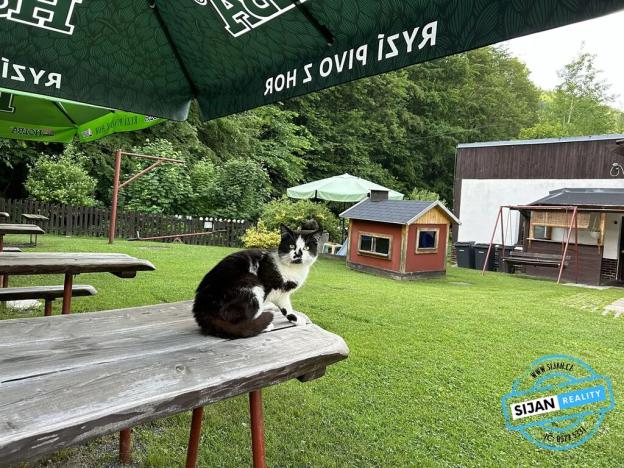 Prodej chalupy, Ludvíkov, 510 m2