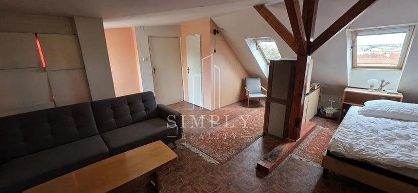 Prodej rodinného domu, Praha - Žižkov, Jilmová, 292 m2