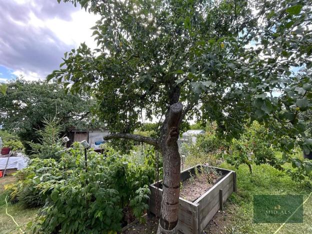 Prodej zahrady, Plzeň, Sluneční, 700 m2