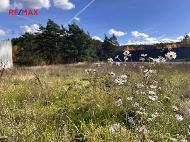 Prodej pozemku pro bydlení, Radošovice, 723 m2