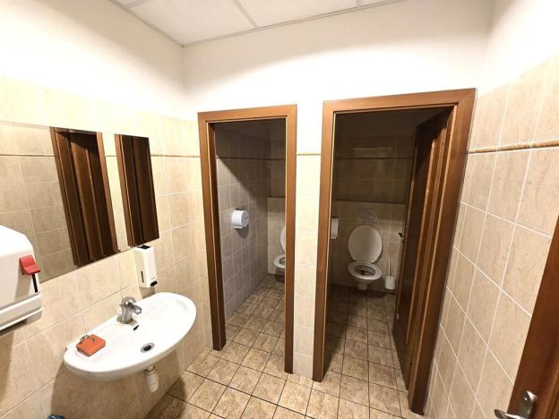 Pronájem výrobních prostor, Brno, Franzova, 785 m2