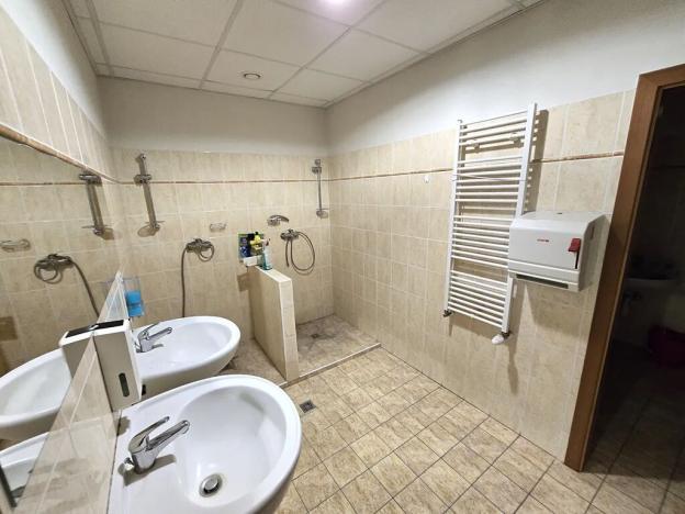 Pronájem výrobních prostor, Brno, Franzova, 785 m2