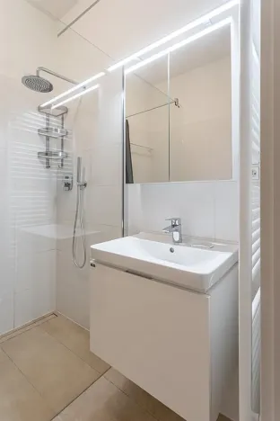 Pronájem bytu 3+kk, Praha - Vinohrady, Balbínova, 110 m2