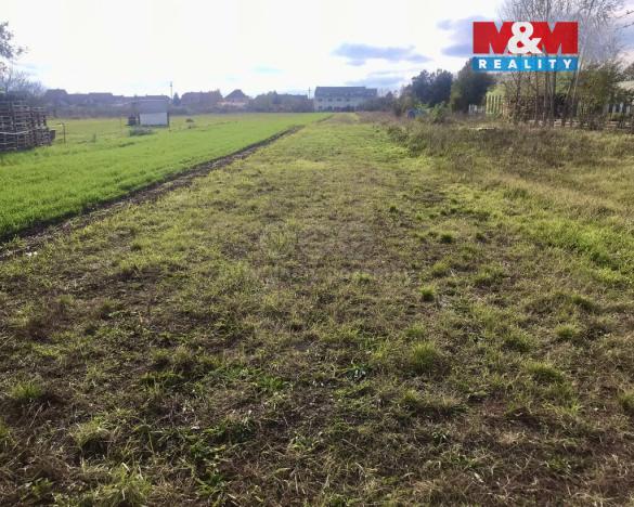 Prodej pole, Přísnotice, 1574 m2