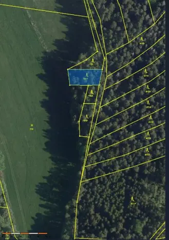 Prodej lesa, Kojčice, 1102 m2