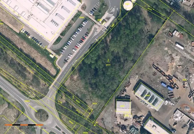 Prodej lesa, Česká Lípa, 9033 m2