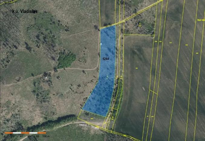 Prodej lesa, Vladislav, 9412 m2