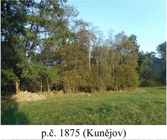 Prodej lesa, Člunek, 2585 m2