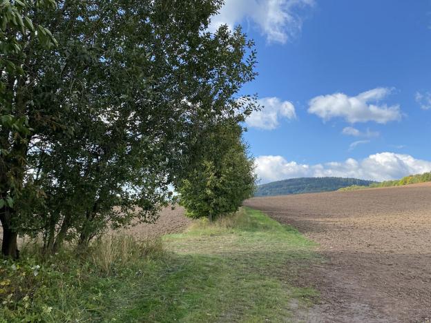 Prodej lesa, Lánov - Horní Lánov, 15996 m2