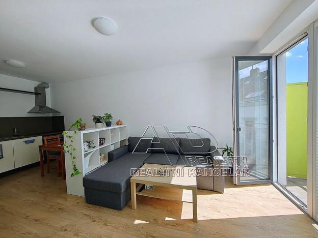 Pronájem bytu 1+1, České Budějovice, Nová, 47 m2