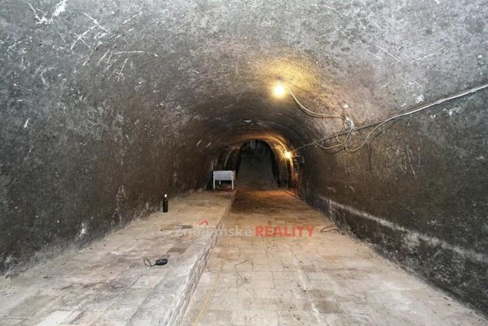 Prodej vinného sklepa, Chvalovice, 106 m2