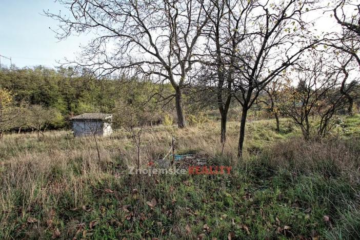 Pronájem zahrady, Znojmo, 3635 m2