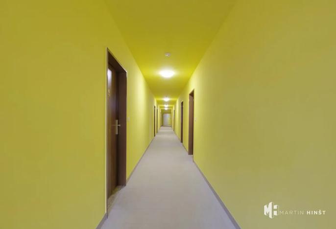 Pronájem bytu 1+kk, Praha - Libeň, Pod plynojemem, 45 m2