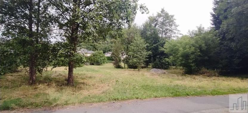 Prodej pozemku pro bydlení, Hanušovice, 3222 m2