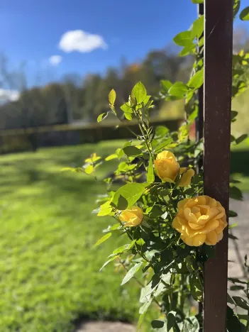 Prodej rodinného domu, Hronov, Na louce, 191 m2