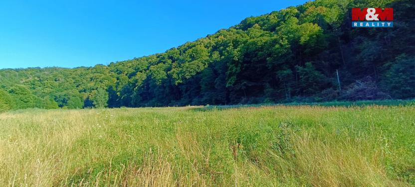 Prodej louky, Nižbor - Žloukovice, 1665 m2