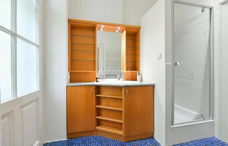 Pronájem bytu 3+kk, Praha - Vinohrady, Mánesova, 118 m2