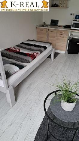 Pronájem bytu 1+kk, Brno, Pražská, 23 m2