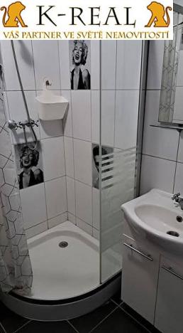 Pronájem bytu 1+kk, Brno, Pražská, 23 m2