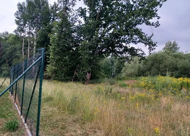 Dražba pozemku, Okna, 5544 m2