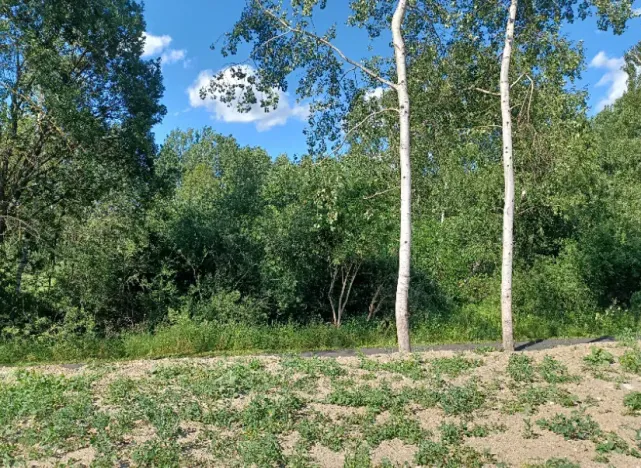 Dražba pozemku, Česká Lípa, 10090 m2