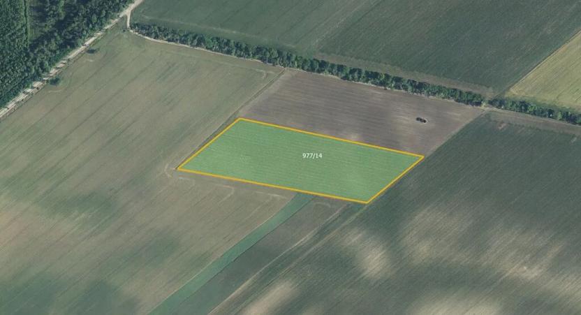 Prodej sadu/vinice, Bulhary, 82048 m2