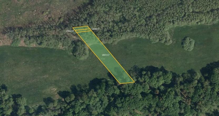 Prodej louky, Lázně Bohdaneč, 4849 m2