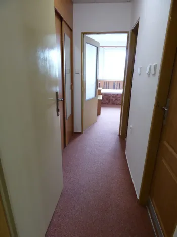 Pronájem bytu 1+kk, Brno, Heršpická, 23 m2