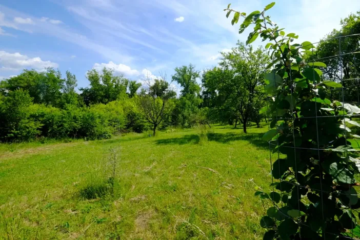 Prodej zahrady, Uherský Brod, 2032 m2