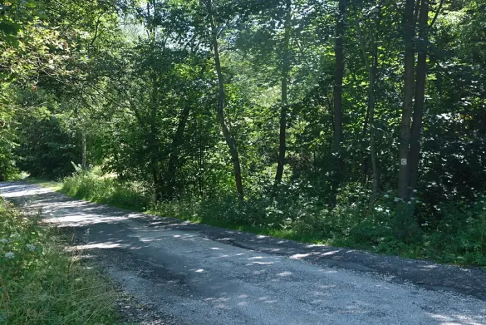 Prodej louky, Vyškovec, 4953 m2