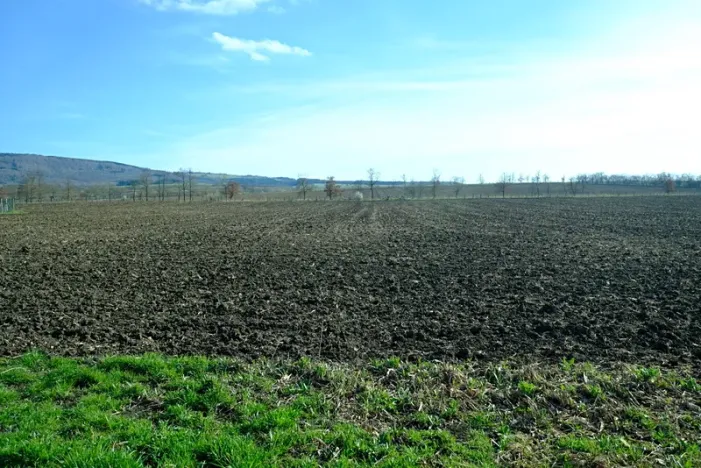 Prodej pozemku pro bydlení, Suchá Loz, 1739 m2