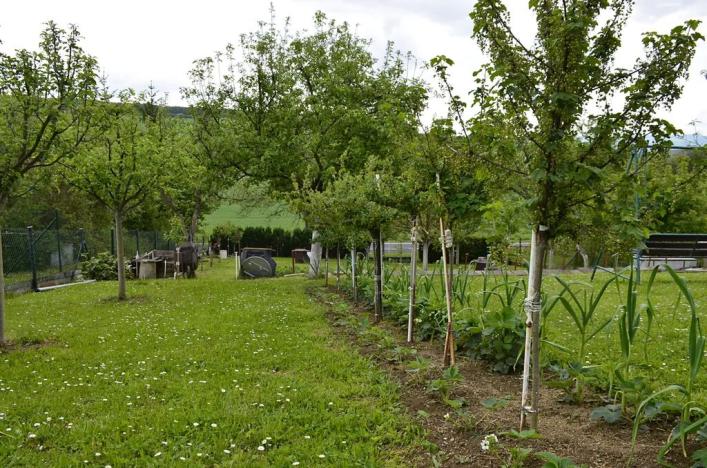 Prodej chaty, Uherský Brod, 24 m2