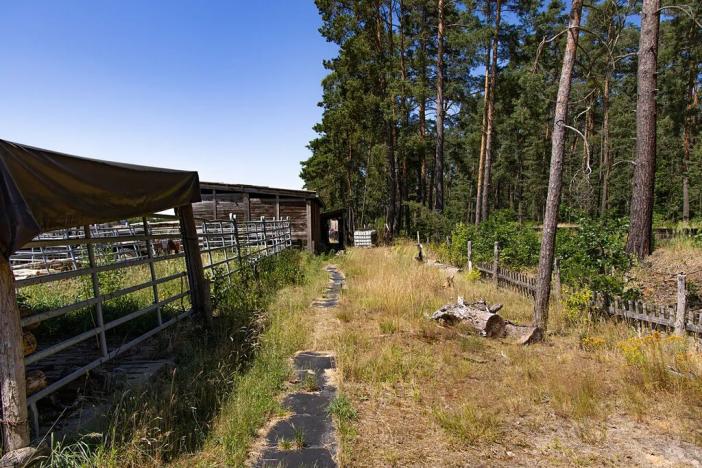 Prodej louky, Doksy, 46765 m2