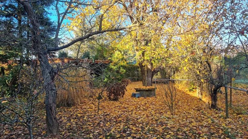 Prodej chaty, Hrušovany u Brna, 95 m2