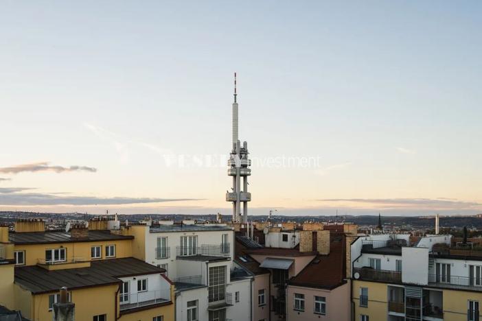 Prodej bytu 4+kk, Praha - Žižkov, Vinohradská, 139 m2