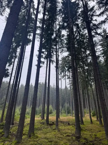 Prodej podílu pole, Nicov, 2230 m2