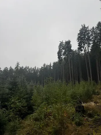 Prodej podílu pole, Nicov, 2230 m2