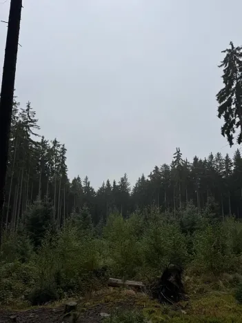 Prodej podílu pole, Nicov, 2230 m2